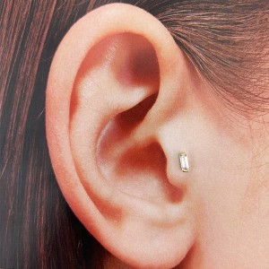 BAGET TRAGUS